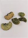 5 stk. Dekorations svampe farvede grønne. Ca. 3 - 7 cm. Sendes ass.